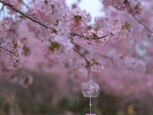 gogogo 大胆艺术风格分析：网传迎来复苏，以独特视角展现艺术魅力