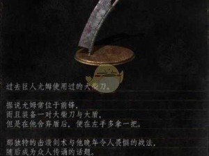 黑暗之魂2全武器背刺攻略心得：深度解析背刺技巧与实战策略