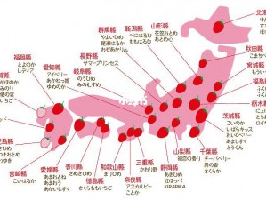 日本二线产区产业结构中，有哪些值得关注的产品？