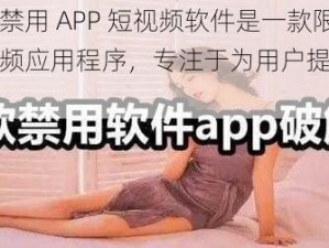 夜里十大禁用 APP 短视频软件是一款限制级的短视频应用程序，专注于为用户提供深夜观看的内容