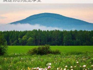 野花韩国高清免费视频 6：海量精彩内容，满足你的视觉享受