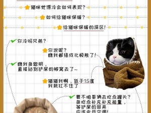 猫咪农场安装指南：从配置到运行全攻略