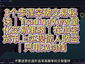 群星特许经营之路：成就之巅的实现策略与关键步骤