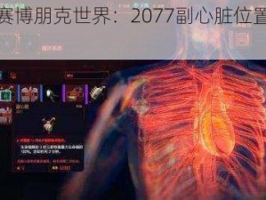 探索赛博朋克世界：2077副心脏位置深度揭秘