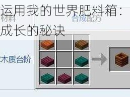 如何运用我的世界肥料箱：解锁作物成长的秘诀