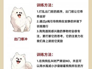 轻度自调任务 60 条狗，让你轻松训练爱犬