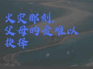 文字探秘：火灾抉择图文攻略全解析