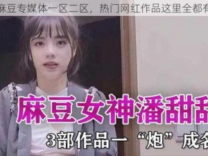 麻豆专媒体一区二区，热门网红作品这里全都有