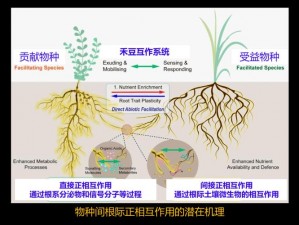 缺氧腐蚀区中的元素生物与植物的共生关系研究