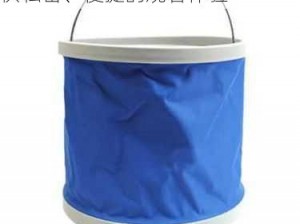 一款集 9l 视频自拍和蝌蚪 9l 视频内容的移动应用，为用户提供私密、便捷的观看体验