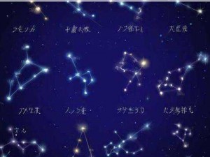 双子星座2炮塔运用策略深度解析：实战心得分享