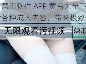 十大禁用软件 APP 黄台大全下载，包含各种成人内容，带来极致体验