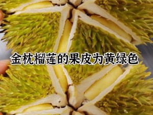 榴莲视频，拥有海量精彩内容，让你欲罢不能