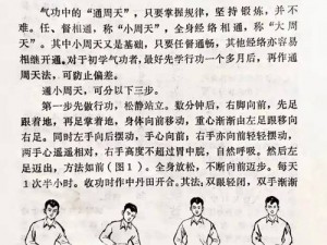 全民星球极速飞驰攻略：实现快速移动的技巧秘籍