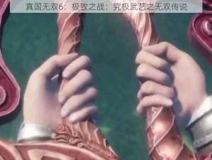 真国无双6：极致之战：究极武艺之无双传说