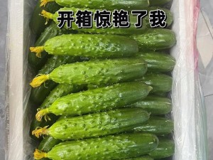 东北山村情事——东北特色农产品，绿色健康无污染