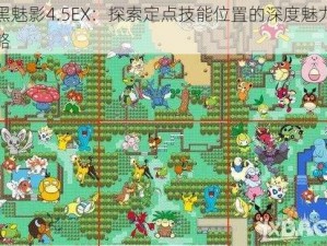 漆黑魅影4.5EX：探索定点技能位置的深度魅力与策略