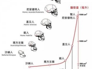 探寻猛犸的起源数据：揭秘我的诞生之地与数据轨迹之旅