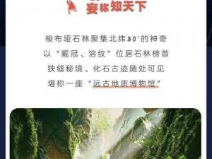 桥下秘境探寻：MT4第块石碑所在之奥秘