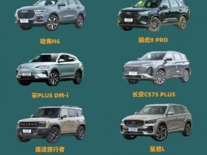 国产 SUV 精品一区，高价比的城市越野之选