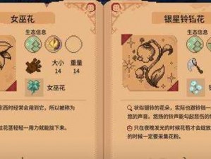 林中小女巫：探索解除诅咒糖果的神奇制作方法