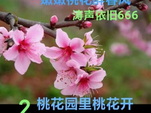 生世里桃花伙伴探寻攻略：如何成为最佳伙伴，生世相伴相随之道