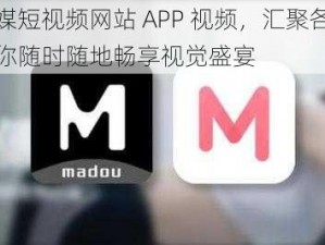 麻豆视传媒短视频网站 APP 视频，汇聚各类精彩短视频，让你随时随地畅享视觉盛宴