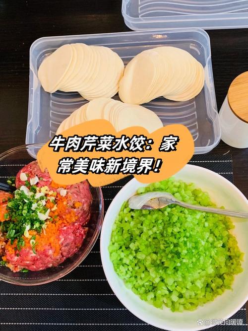 料理次元之水饺配方公式详解：全面剖析水饺技能属性与美味秘诀