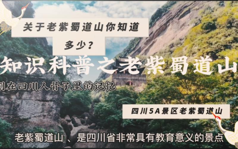 老紫蜀道山梗深度解析：历史地理与人文内涵探秘