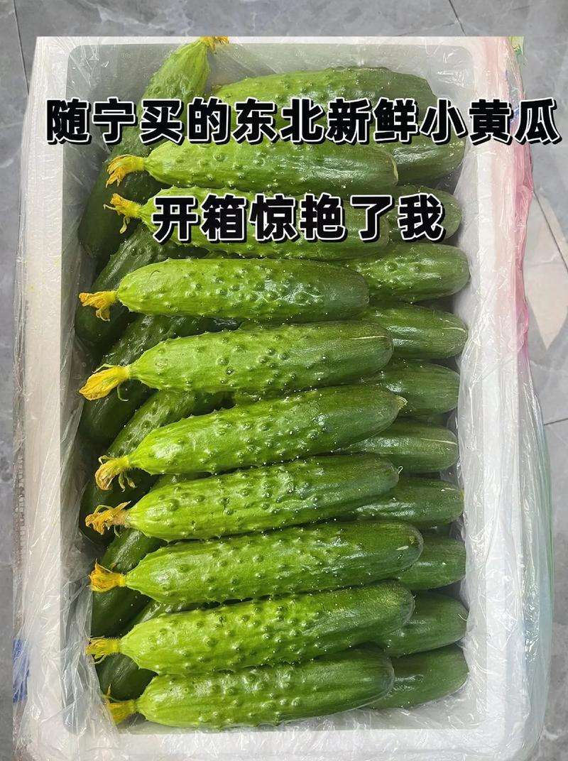 东北山村情事——东北特色农产品，绿色健康无污染