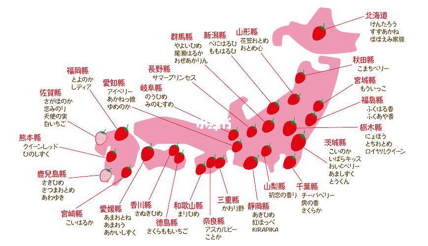 日本二线产区产业结构中，有哪些值得关注的产品？