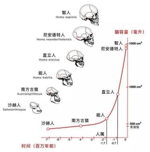 探寻猛犸的起源数据：揭秘我的诞生之地与数据轨迹之旅