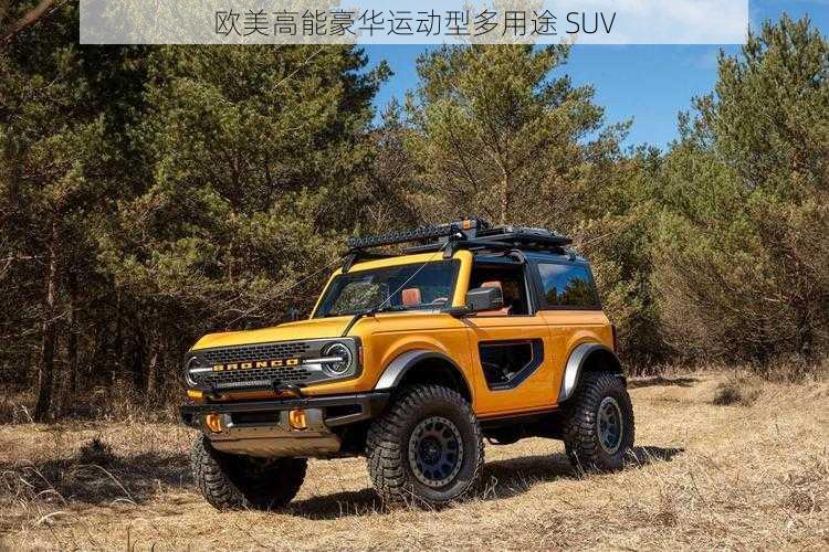 欧美高能豪华运动型多用途 SUV