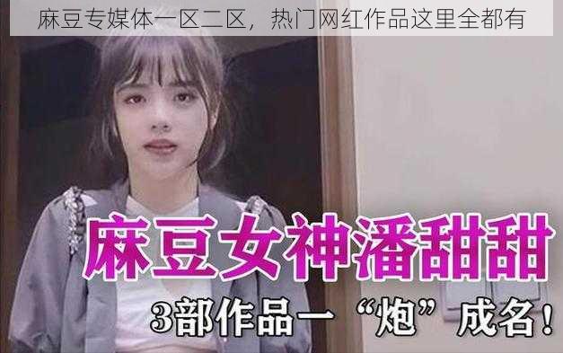 麻豆专媒体一区二区，热门网红作品这里全都有