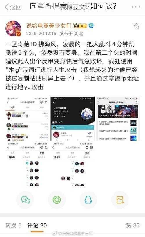 向掌盟提意见，该如何做？