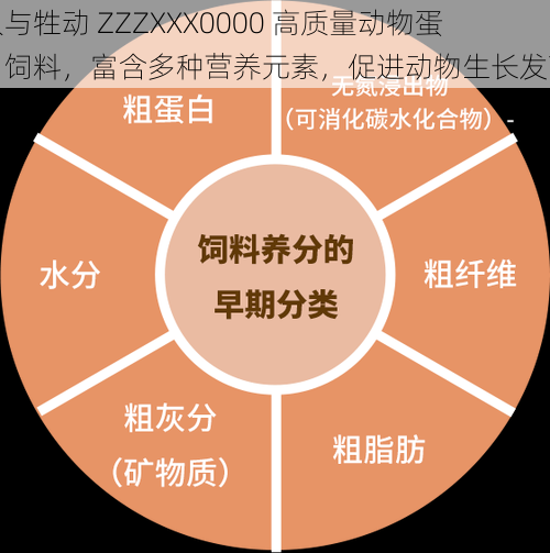 人与牲动 ZZZXXX0000 高质量动物蛋白饲料，富含多种营养元素，促进动物生长发育