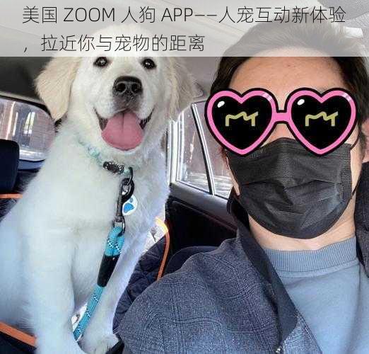 美国 ZOOM 人狗 APP——人宠互动新体验，拉近你与宠物的距离