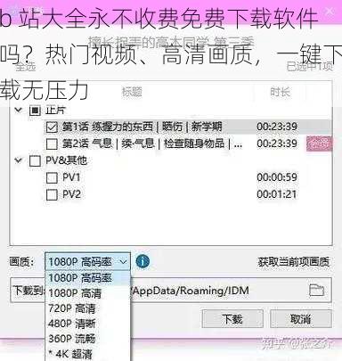 b 站大全永不收费免费下载软件吗？热门视频、高清画质，一键下载无压力