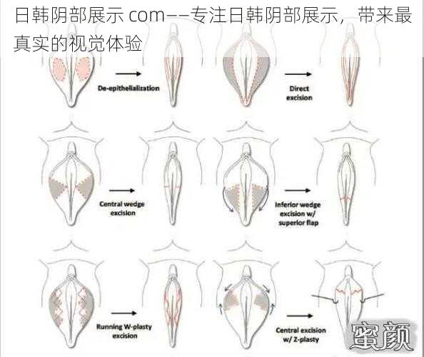 日韩阴部展示 com——专注日韩阴部展示，带来最真实的视觉体验
