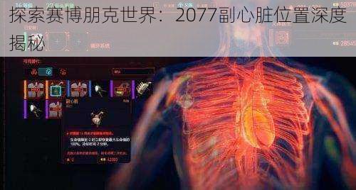 探索赛博朋克世界：2077副心脏位置深度揭秘