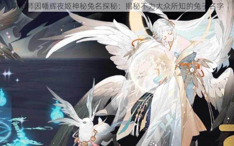 阴阳师因幡辉夜姬神秘兔名探秘：揭秘不为大众所知的兔子名字