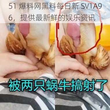 51 爆料网黑料每日新 SV1A96，提供最新鲜的娱乐资讯