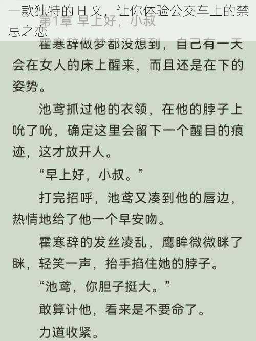 一款独特的 H 文，让你体验公交车上的禁忌之恋