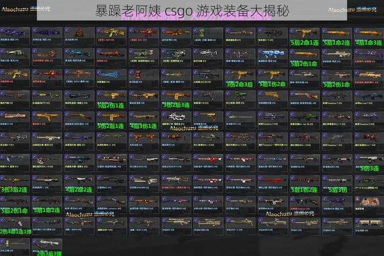 暴躁老阿姨 csgo 游戏装备大揭秘