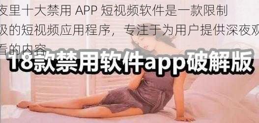 夜里十大禁用 APP 短视频软件是一款限制级的短视频应用程序，专注于为用户提供深夜观看的内容