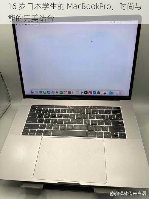 16 岁日本学生的 MacBookPro，时尚与能的完美结合