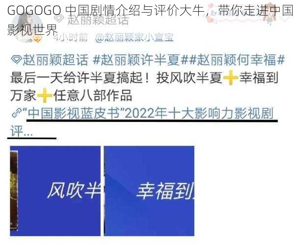 GOGOGO 中国剧情介绍与评价大牛，带你走进中国影视世界