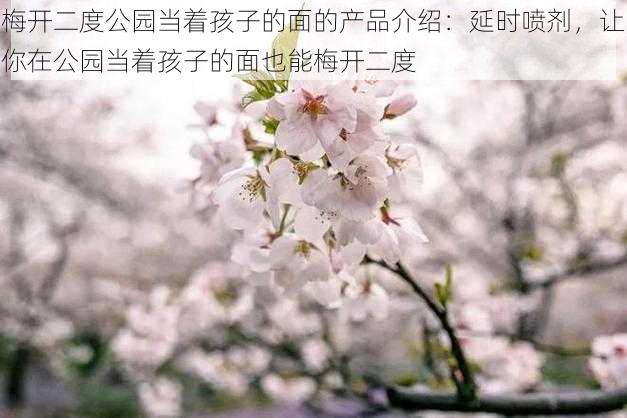 梅开二度公园当着孩子的面的产品介绍：延时喷剂，让你在公园当着孩子的面也能梅开二度