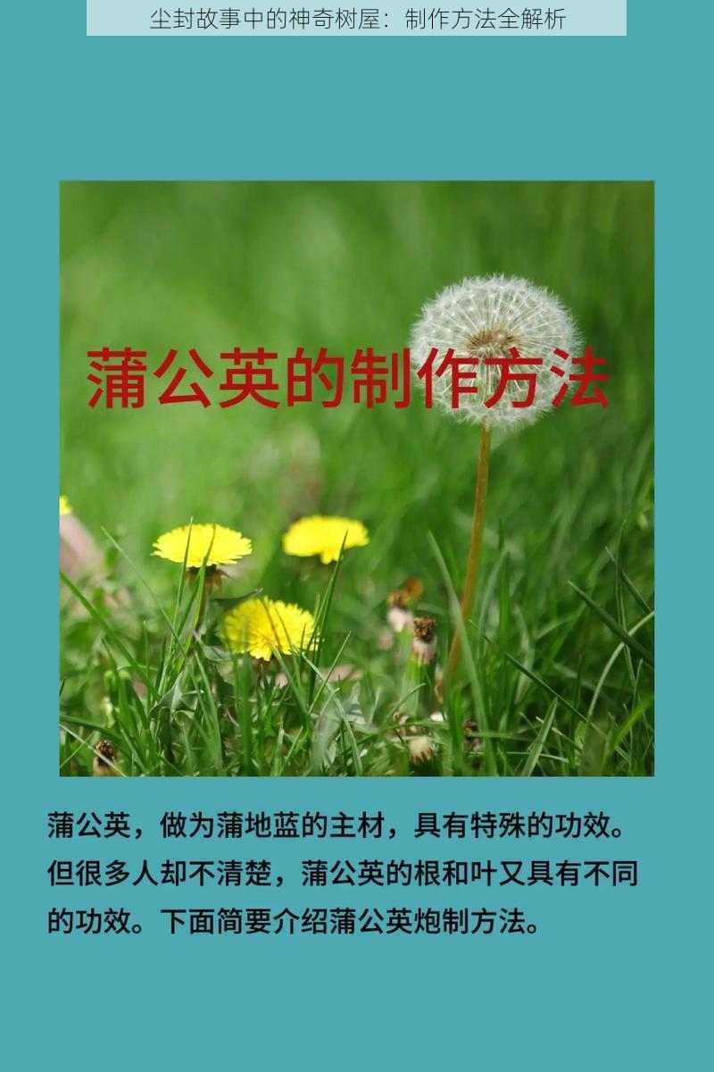 尘封故事中的神奇树屋：制作方法全解析