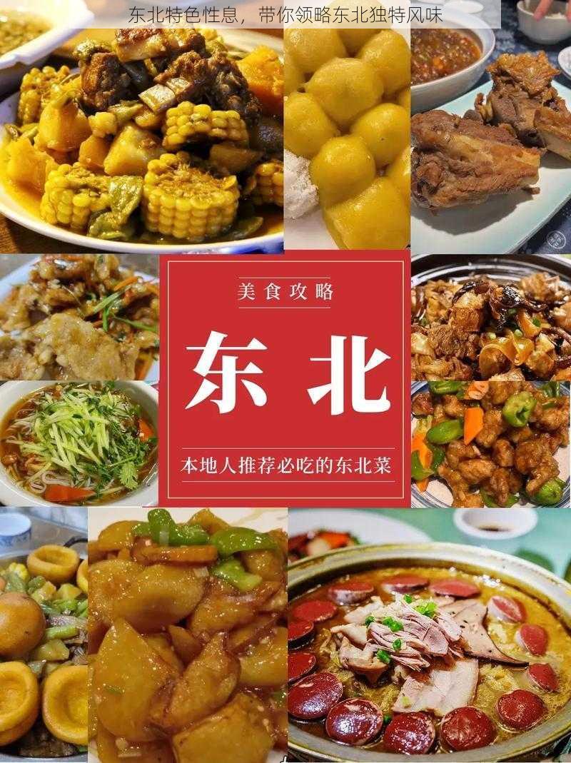 东北特色性息，带你领略东北独特风味